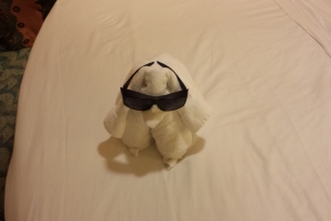 Cruise2016_11-08