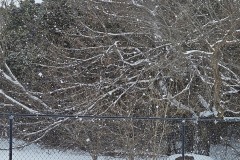 20260124_120657