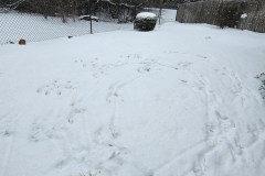 20260124_121342