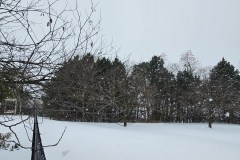 20260124_121420