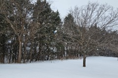 20260124_121519