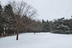 20260124_121521