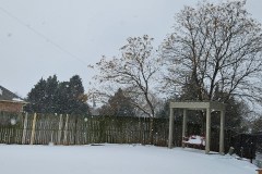 20260124_121535